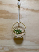 Load image into Gallery viewer, Plant hanging hoops