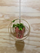 Load image into Gallery viewer, Plant hanging hoops