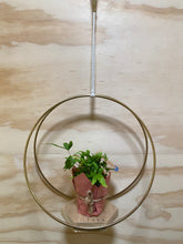Load image into Gallery viewer, Plant hanging hoops
