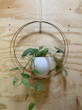 Load image into Gallery viewer, Plant hanging hoops

